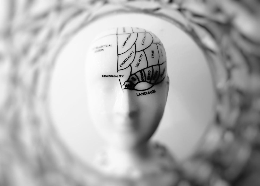 Potential Of NMN In Neurodegeneration And Cognitive Health