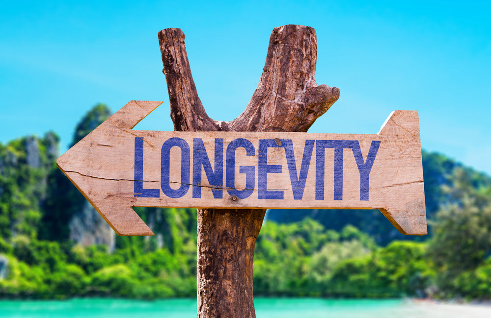 The Best Supplements for Longevity? Start With How Ageing Actually Works
