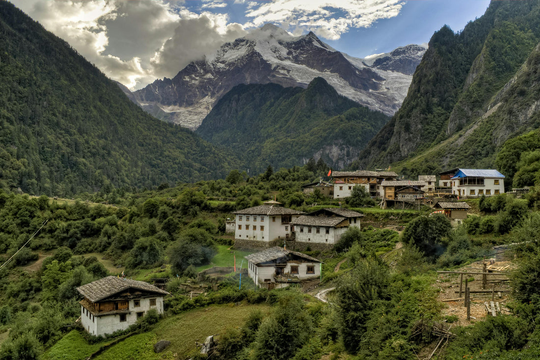 Top 9 NMN Supplements in Nepal - For Youth