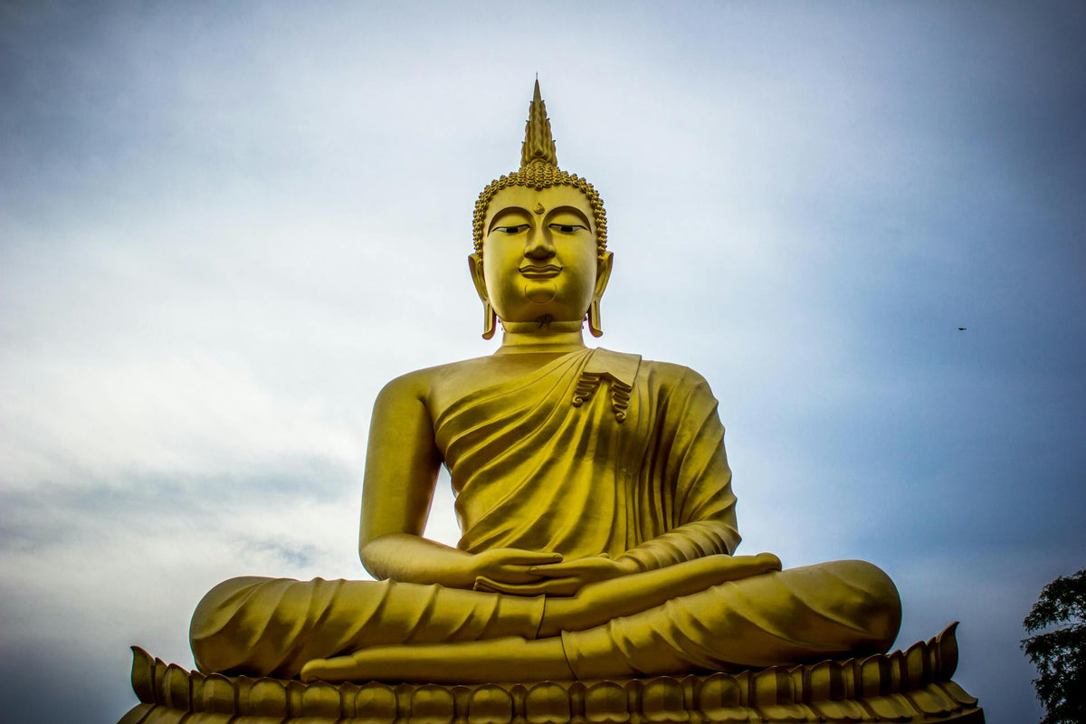 Best 6 NMN Supplements in Thailand - For Youth