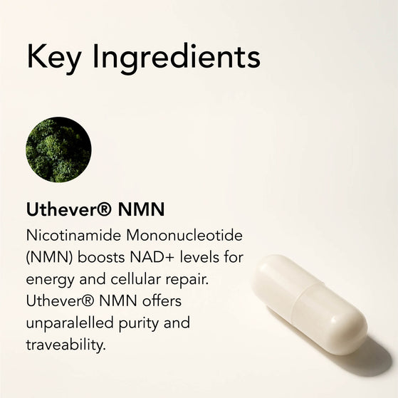 Image 8: The Base – NMN