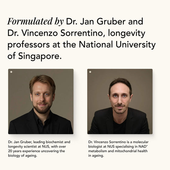 Image 6: The Base – NMN