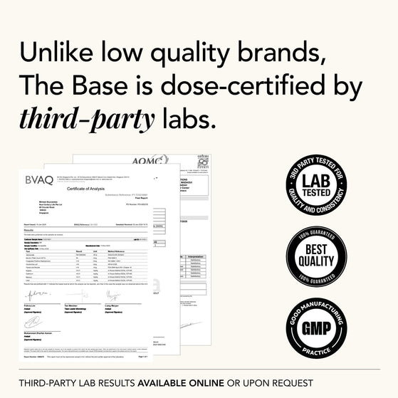 Image 5: The Base – NMN