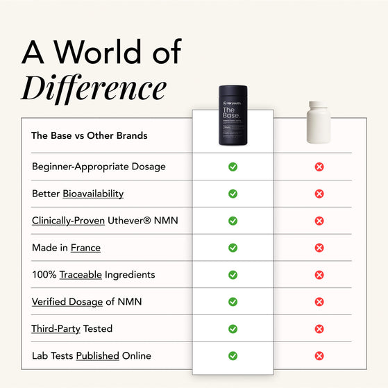 Image 10: The Base – NMN