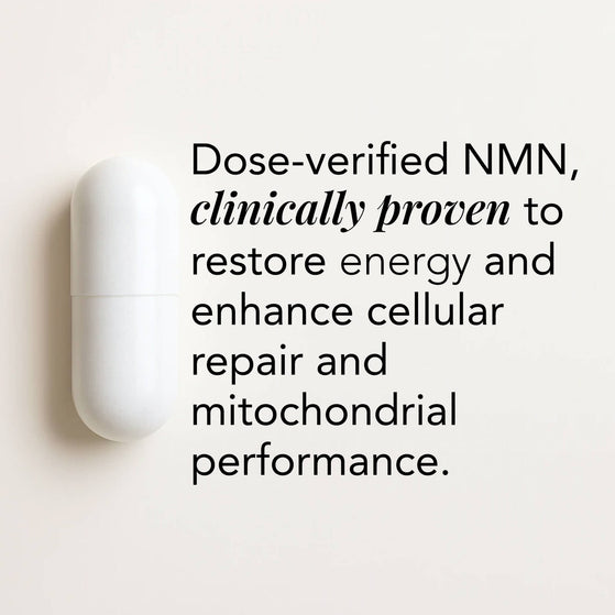 Image 3: The Base – NMN