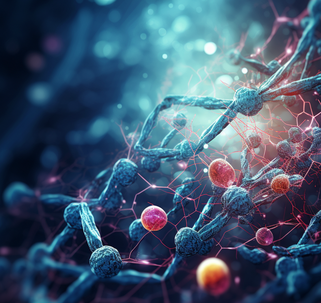 The Role of NMN in Cellular Senescence