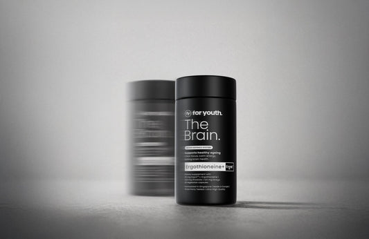 The Brain by For Youth