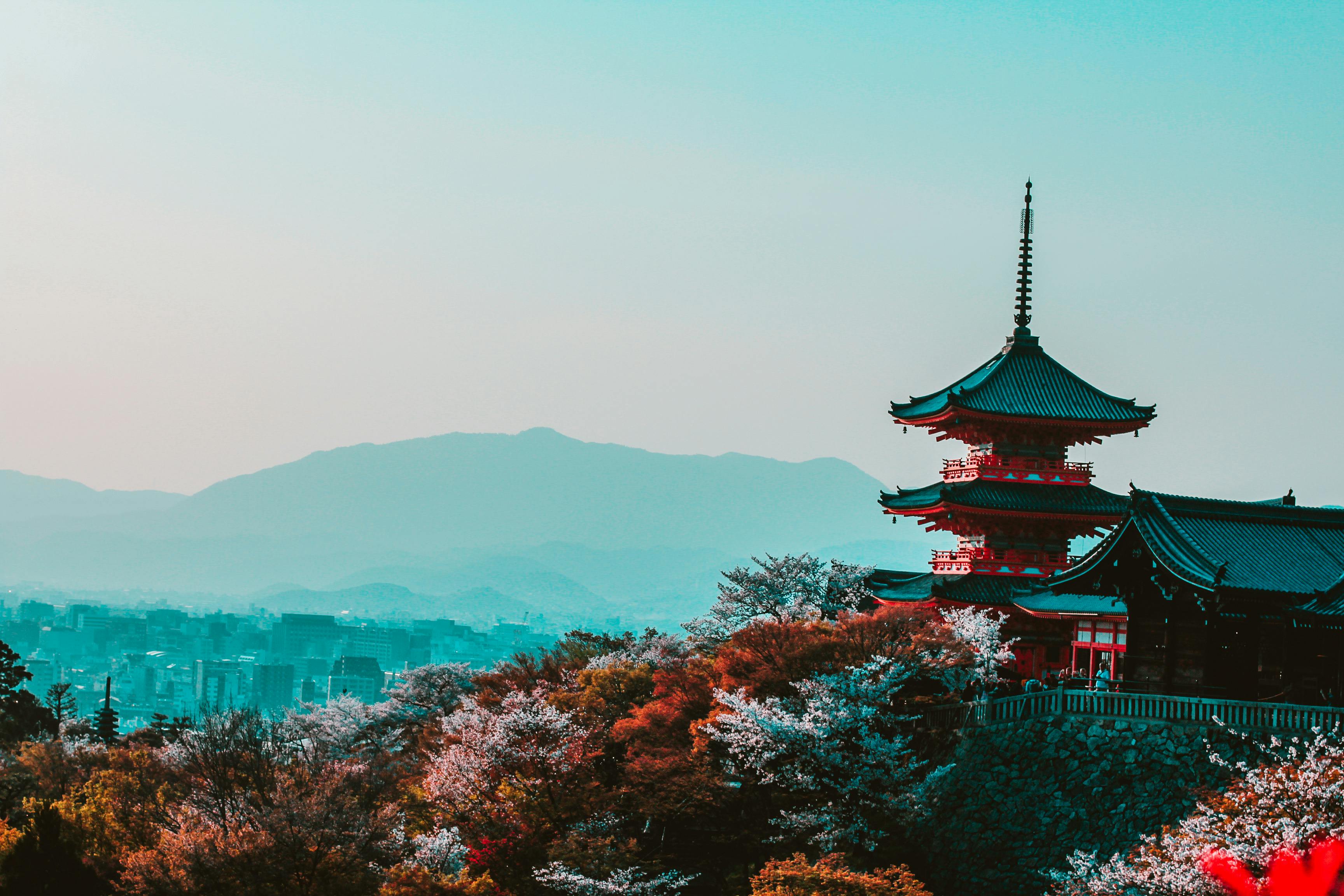 7 Best NMN Supplements in Japan