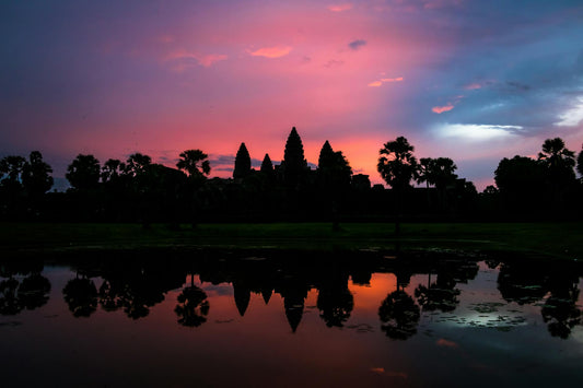 Top 6 NMN Supplements in Cambodia - foryouth