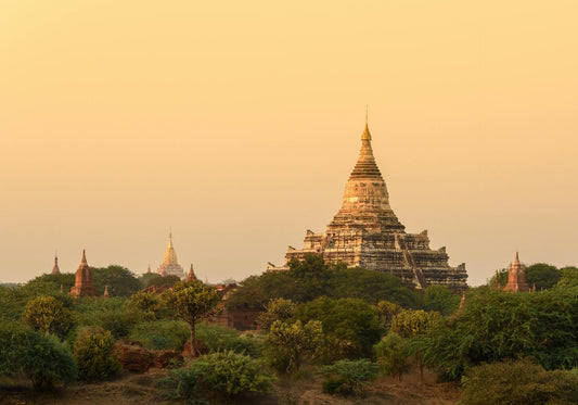 Top NMN Supplements in Myanmar - for youth