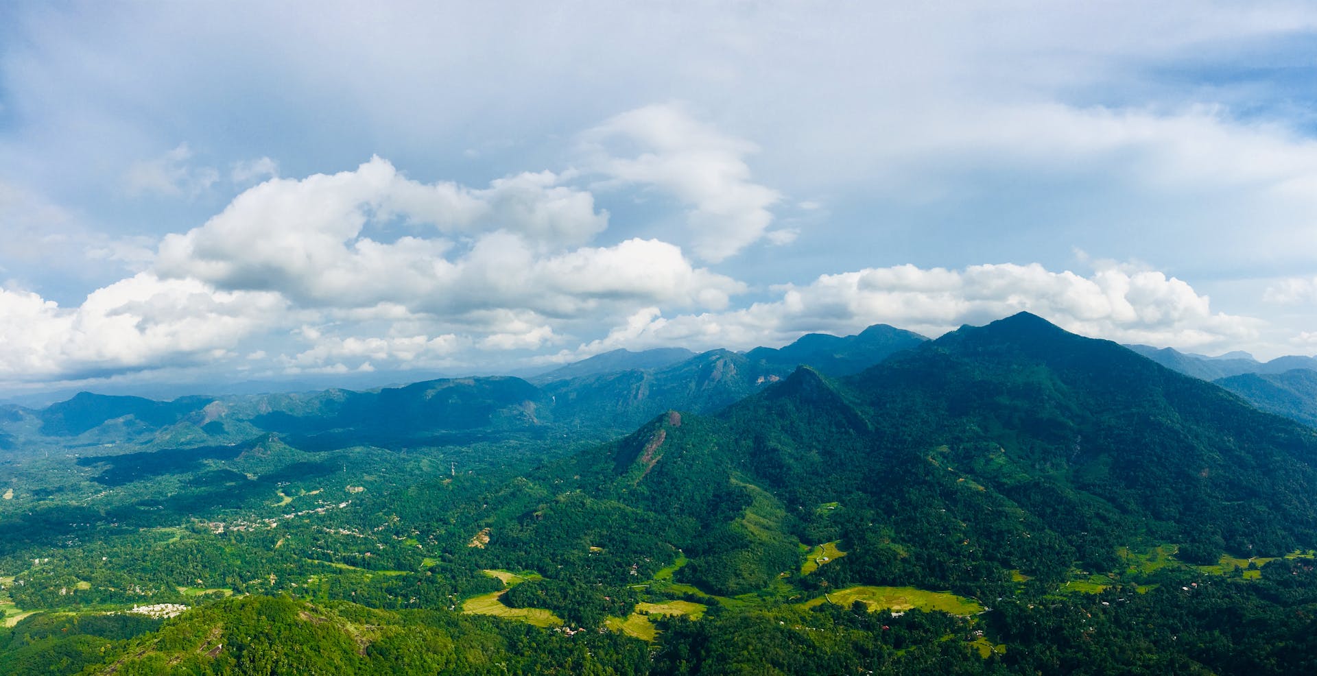5 Best NMN Supplements to Buy in Sri Lanka