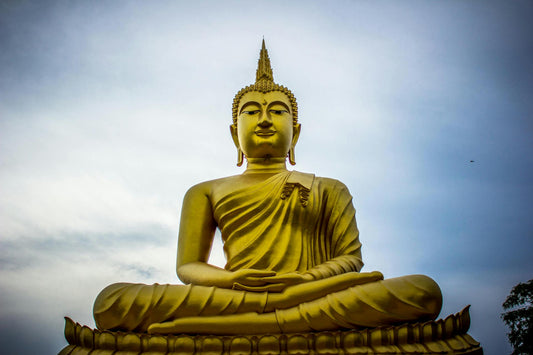Best 6 NMN Supplements in Thailand - For Youth