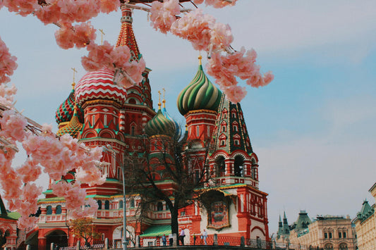 10 Best NMN Supplements in Russia - foryouth