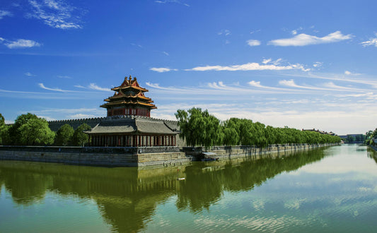 Best 7 NMN Supplements in China  - ForYouth