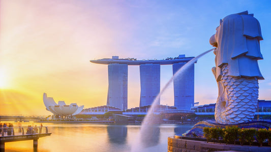10 Best NMN Supplements You Can Buy in Singapore (2025 Guide)