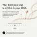 The Clock – Bio Age Test