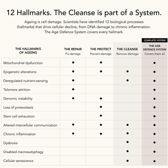 Image 4: The Cleanse – Spermidine+