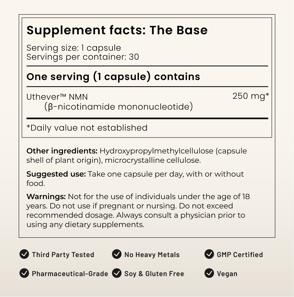 The Base - NMN