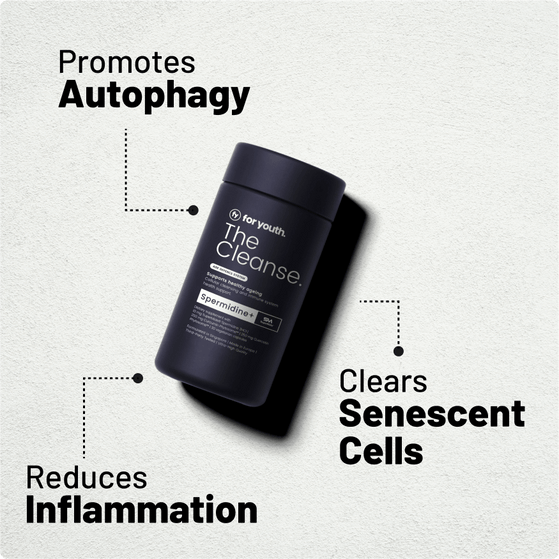 Image 3: The Cleanse – Spermidine+