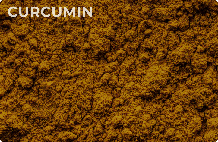 Meriva® Curcumin Phytosome™