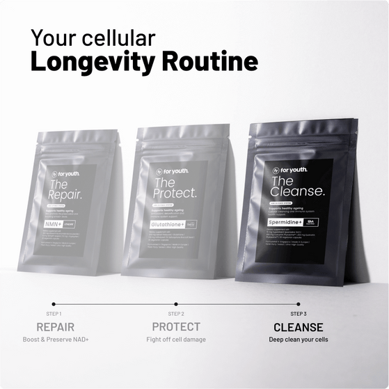 Image 4: The Cleanse – Spermidine+
