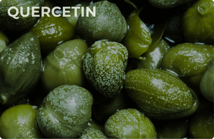 Quercefit® Quercetin Phytosome™