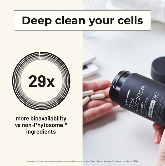 Image 2: The Cleanse – Spermidine+