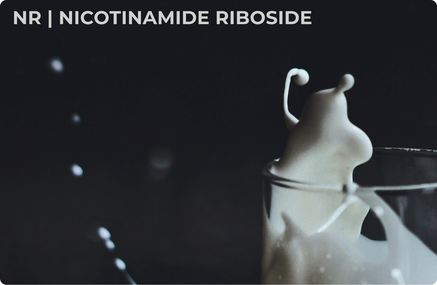 Nicotinamide Riboside (NR)