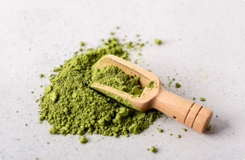 Green Tea Extract