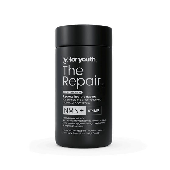 Image 12: The Brain – Ergothioneine+