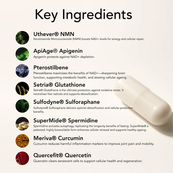Image 6: The Age Defence System