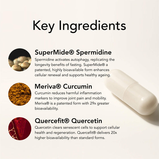 Image 8: The Cleanse – Spermidine+
