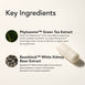 The Lean – Green Tea+