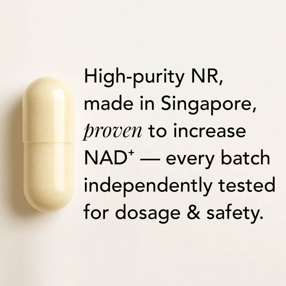 Image 6: The Plus – NR