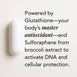 The Protect – Glutathione+