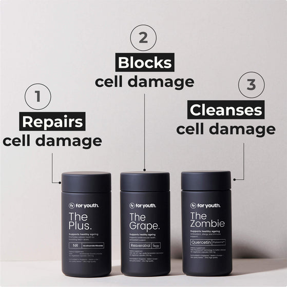 Image 6: The Starter Kit (NR)