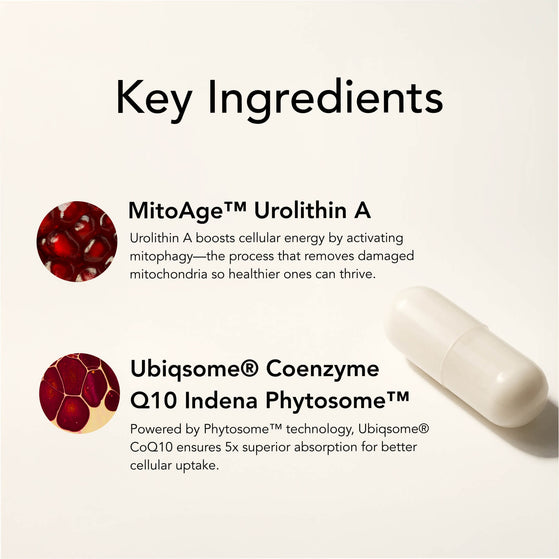 Image 7: The V-Max – Urolithin A+