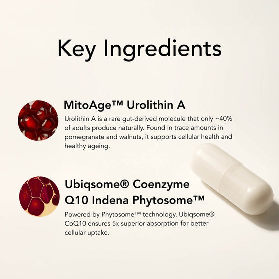 Image 7: The V-Max – Urolithin A+