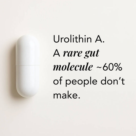 Image 3: The V-Max – Urolithin A+